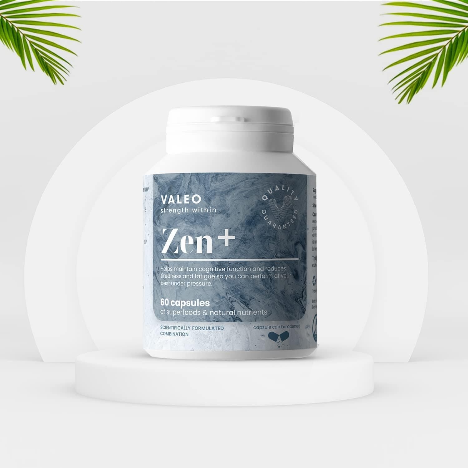 Valeo Zen+
