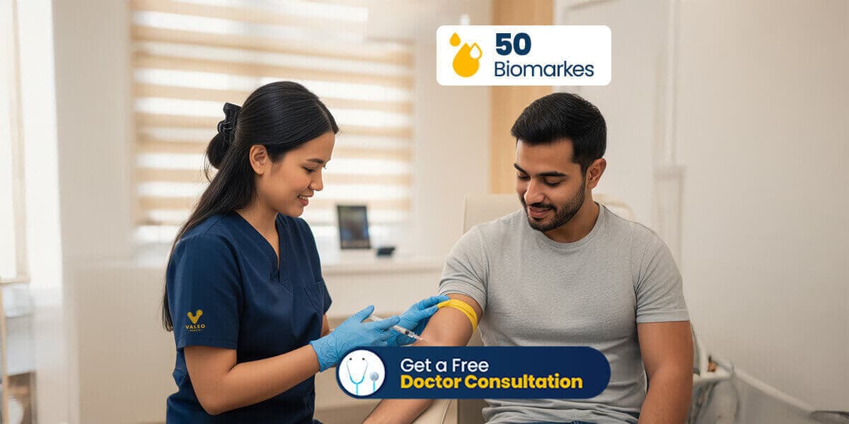 Comprehensive Male Health Blood Test