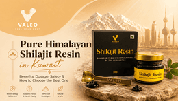 Pure Himalayan Shilajit Resin in Kuwait: Benefits, Dosage, Safety & How to Choose the Best One