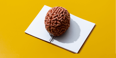 How brain health fuels career growth: Blood testing and cognitive optimization