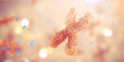 Can Cutting Calories Lead to Longer Life? Exploring the Impact on Telomeres and Aging.