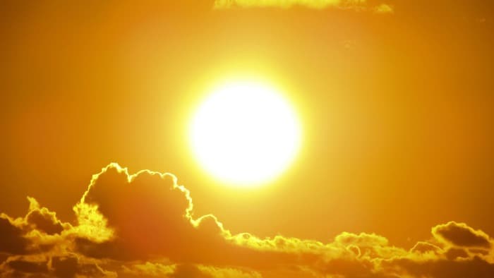 Extremely high temperatures: How to protect yourself from the severe heat waves?